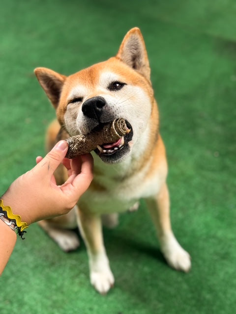 Sushi de peau de saumon