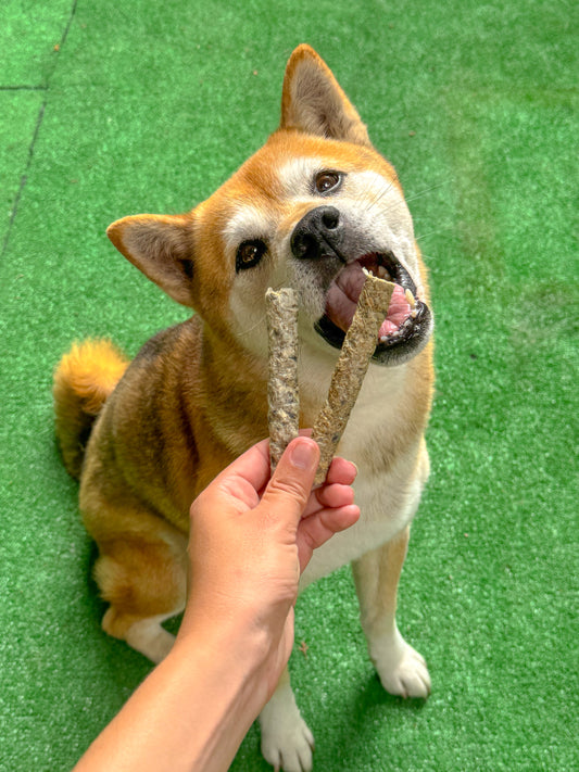 Stick peau de saumon & morue