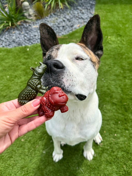 Animaux Safari Veggie