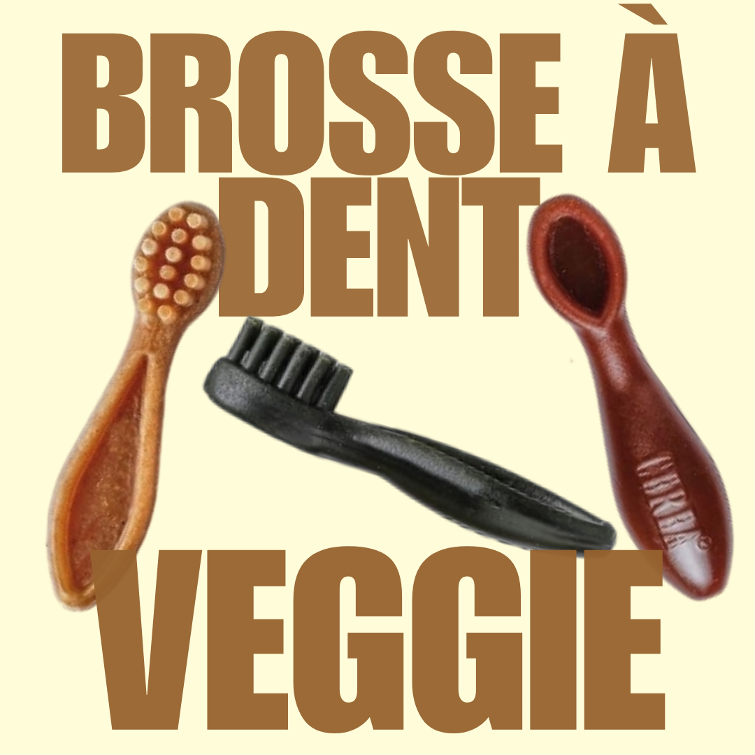 Brosse à dent Veggie