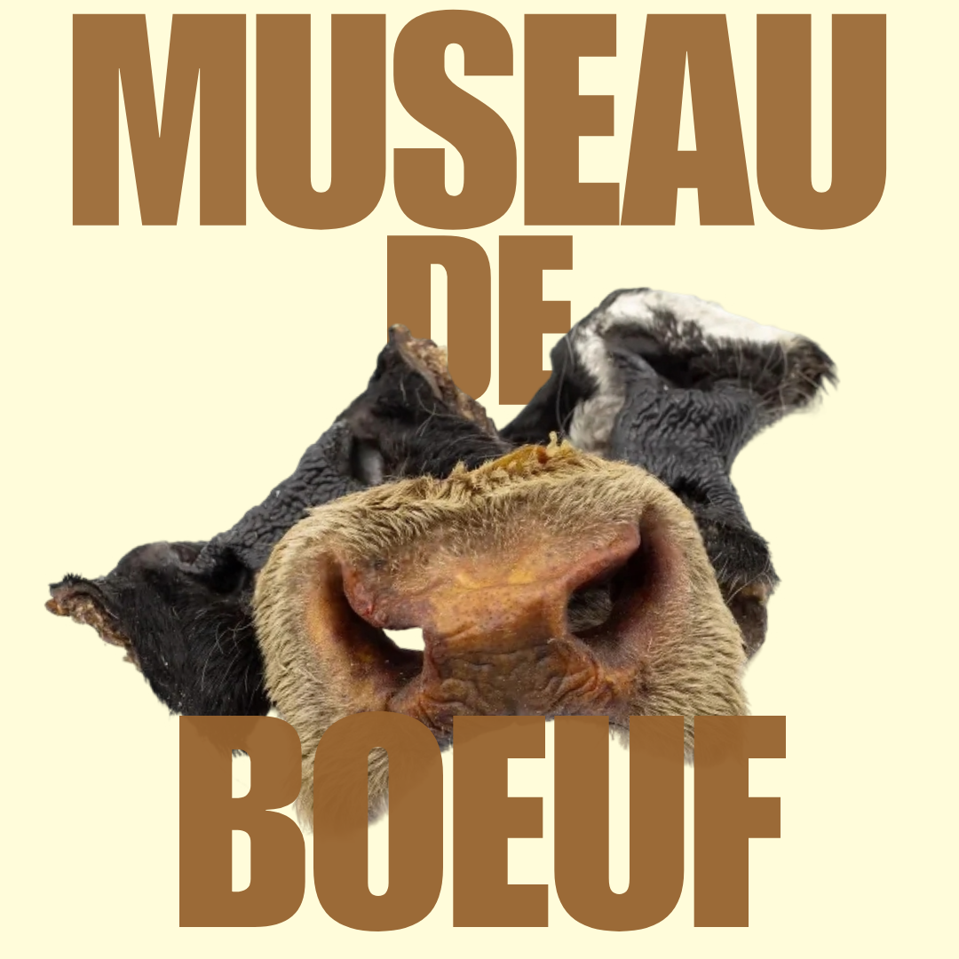Museau de boeuf