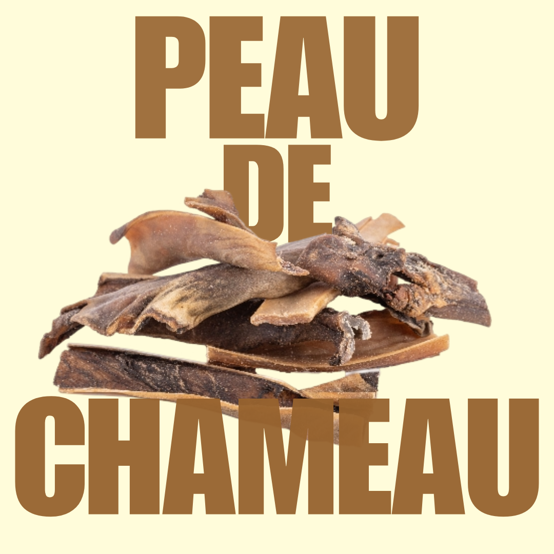 Peau de chameau â 200G