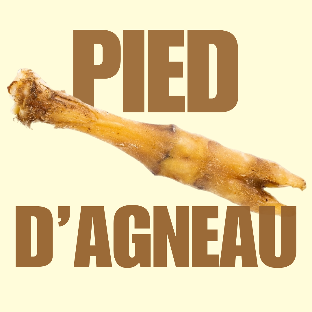 Pied d'agneau