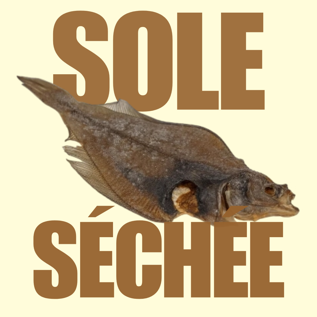 Sole séchée