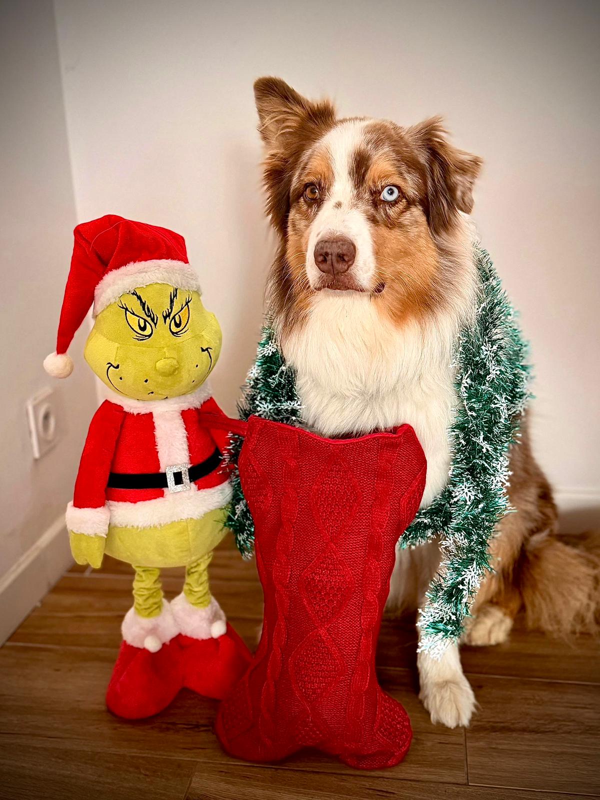 La chaussette magique de Loki