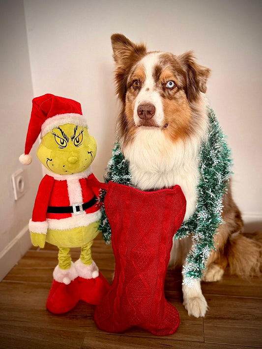 La chaussette magique de Loki