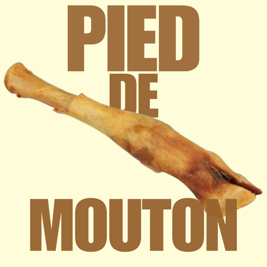Pied de mouton