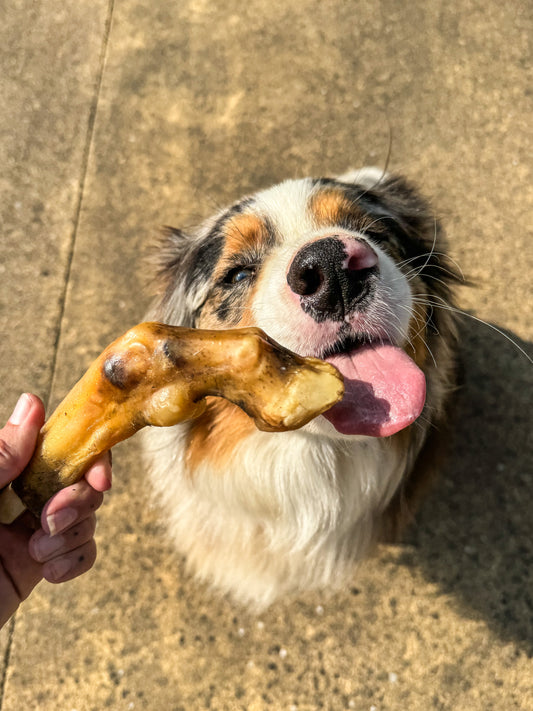Pied d'agneau