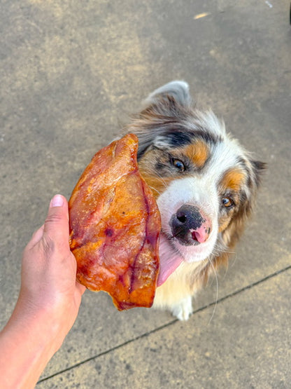 Oreille de porc