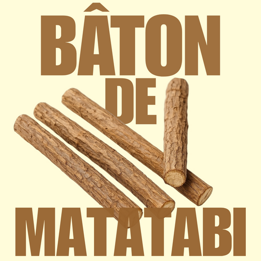 Bâton de matatabi