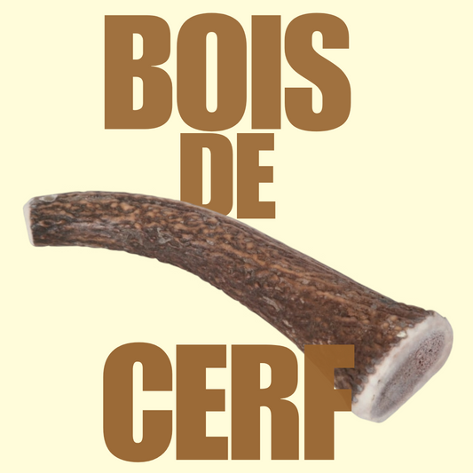 Bois de cerf