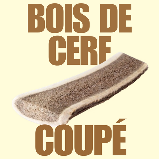 Bois de cerf coupé