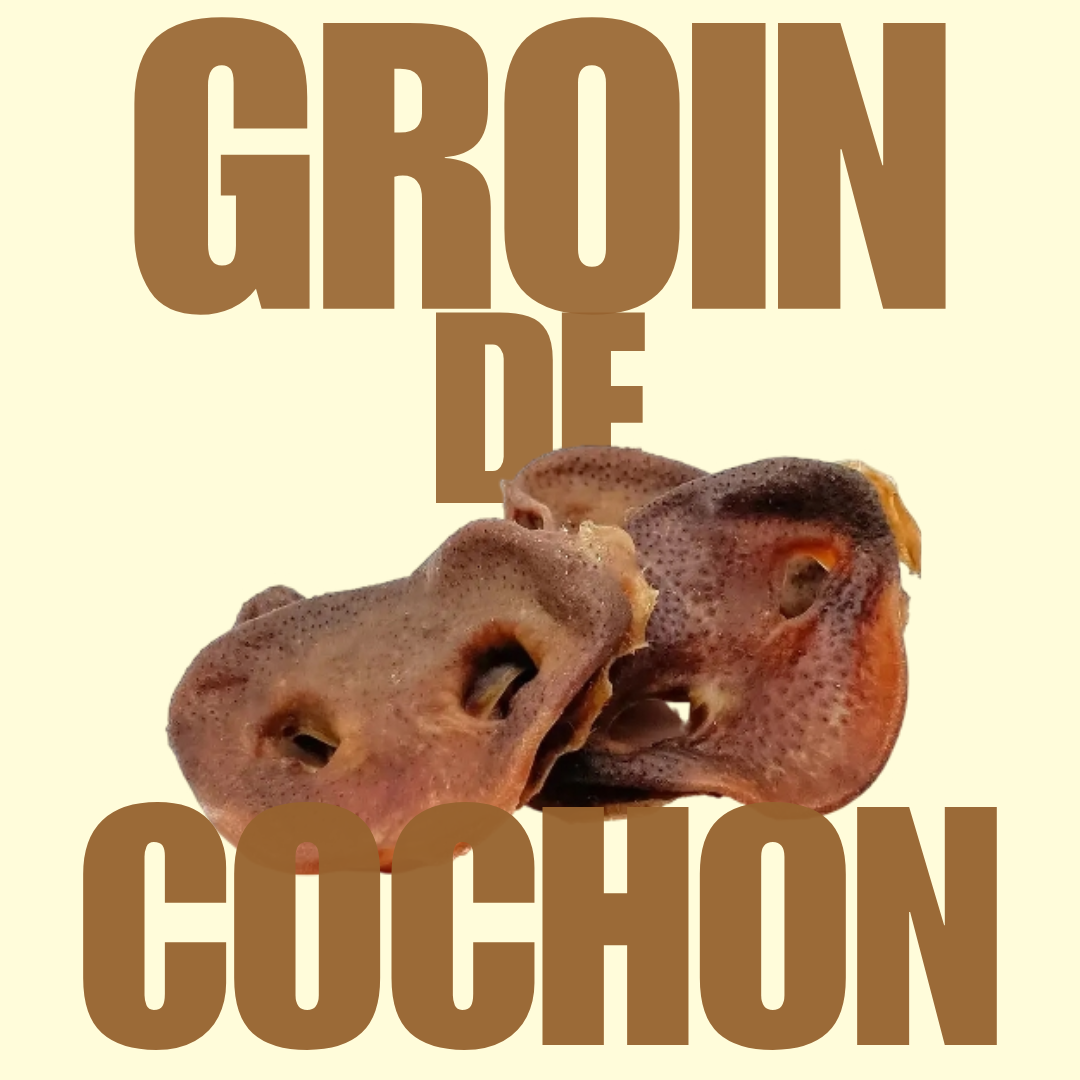 Groin de cochon