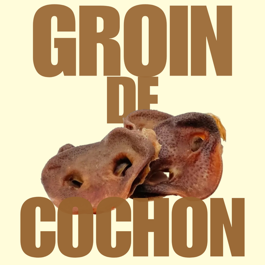 Groin de cochon
