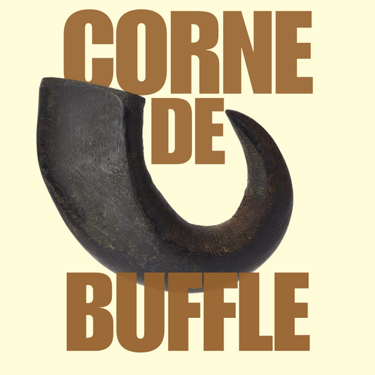 Corne de buffle
