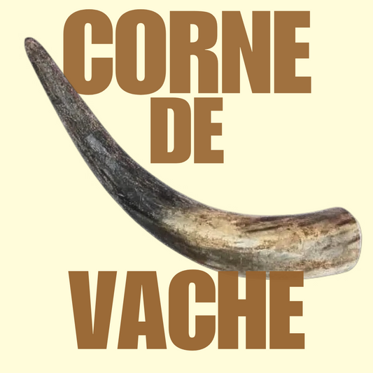 Corne de vache