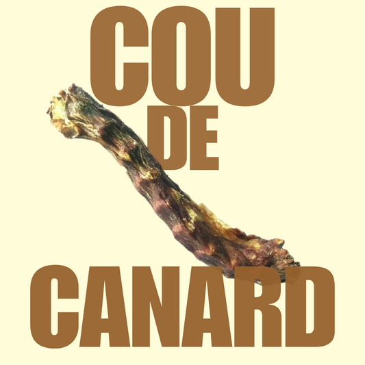 Cou de canard