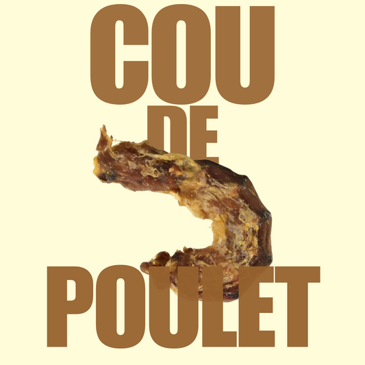 Cou de Poulet