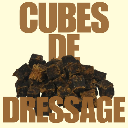 Cubes de dressage