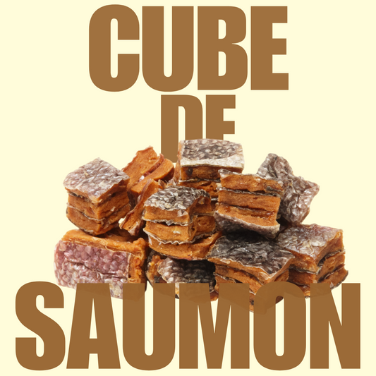 Cube de saumon