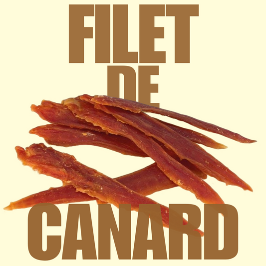 Filet de canard
