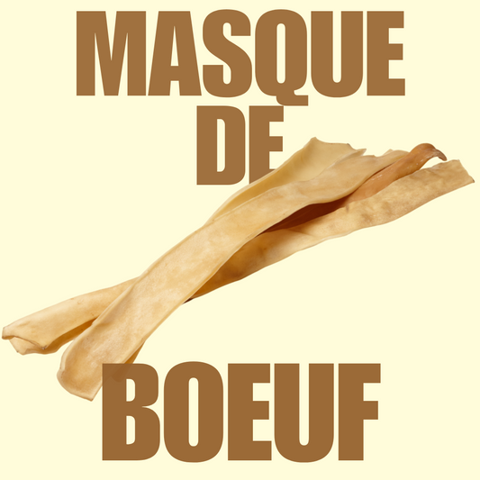Masque de bœuf 60cm