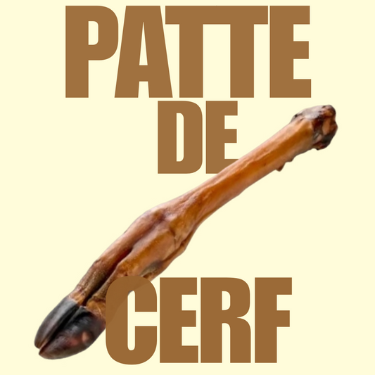 Patte de cerf ≈45cm