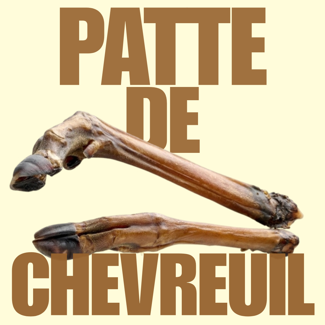 Patte de chevreuil