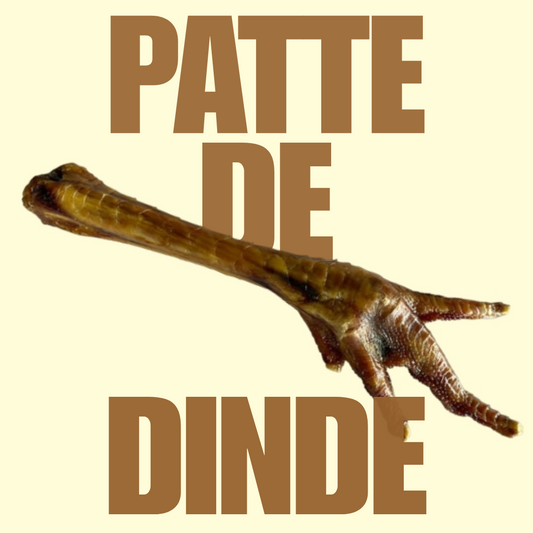 Patte de dinde