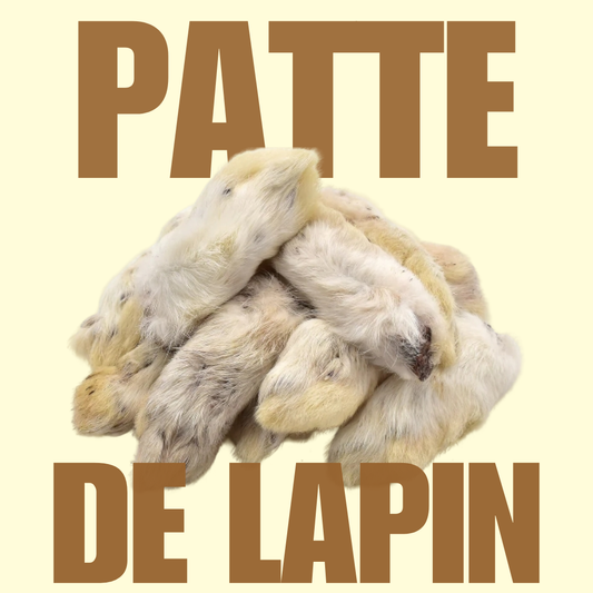 Patte de lapin