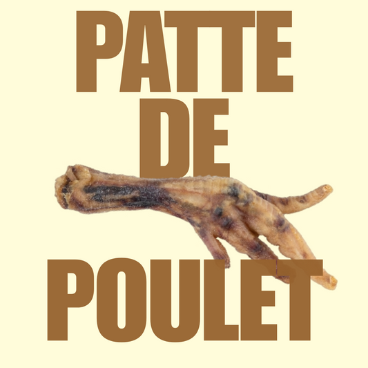 Patte de poulet