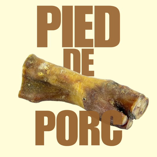 Pied de porc