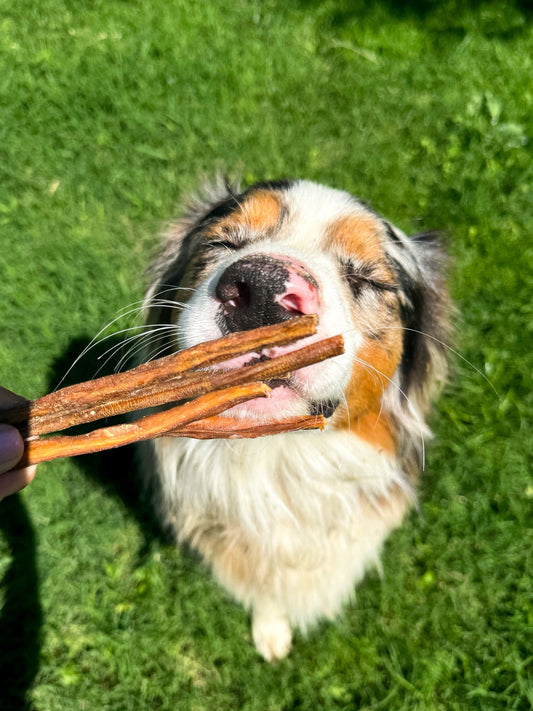 Spaghetti de boeuf