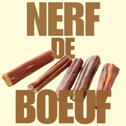 Nerf de boeuf 15cm