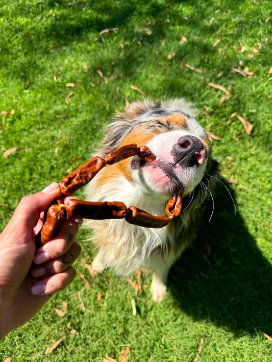 Saucisson d'agneau