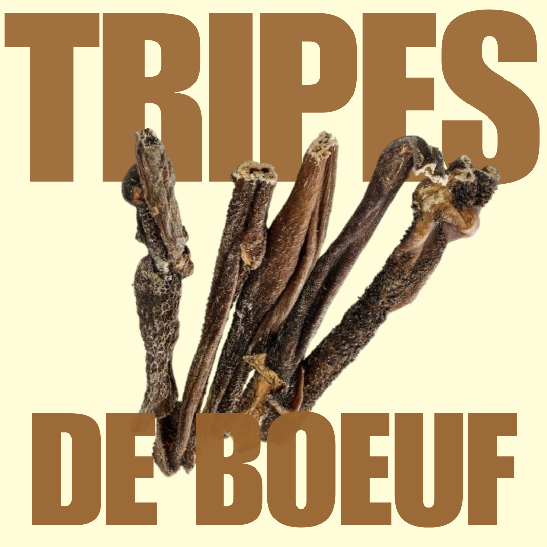 Tripes de boeuf